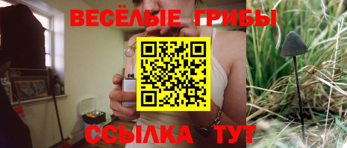 Галлюциногенные грибы Psilocybe Королёв